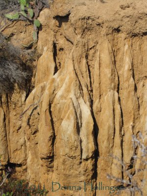 Sandstone Formations At Torres Pine