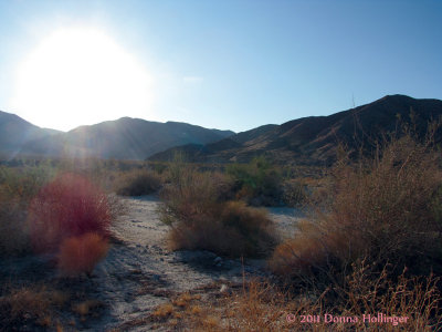 Palm Springs Desert Sun-Up