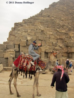 Flirting with a Camel