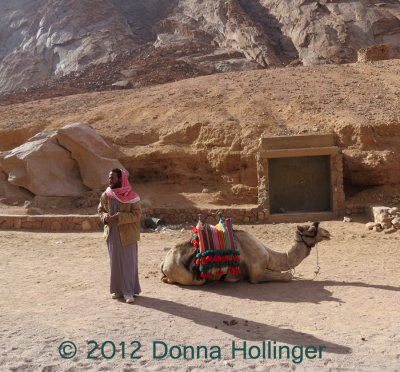900.Sinai.2.404.jpg