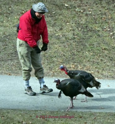 Which Hand Has the Corn?- turkey talk!