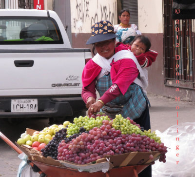 Selling Grapes at the Market