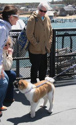  Akita, Patty, and Jean