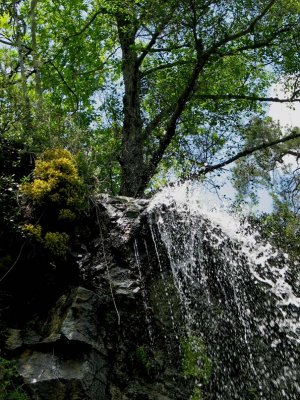 Kaledonia waterfall