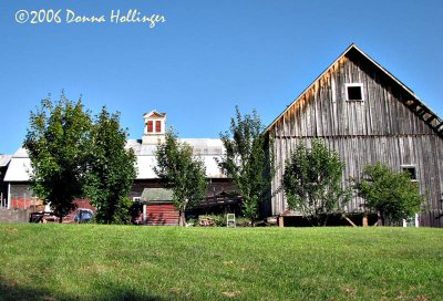 I found a new barn