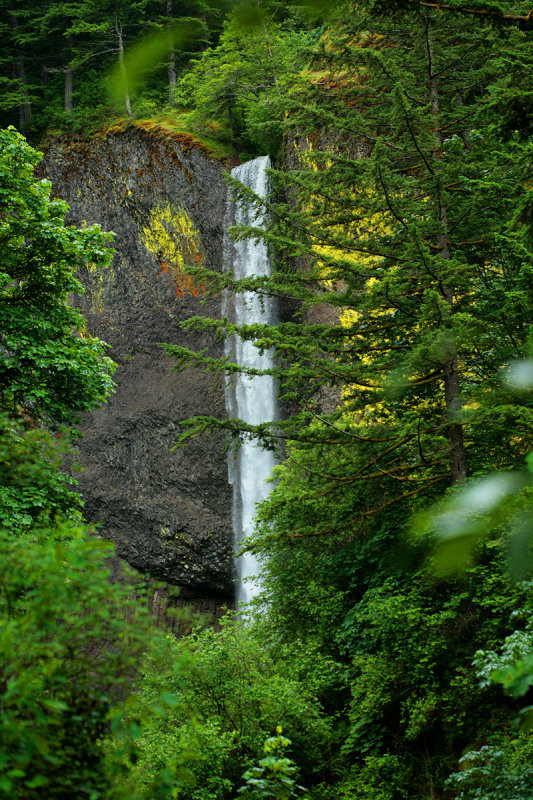 _MG_2467_First Sight_Latourell Falls_1200x.jpg
