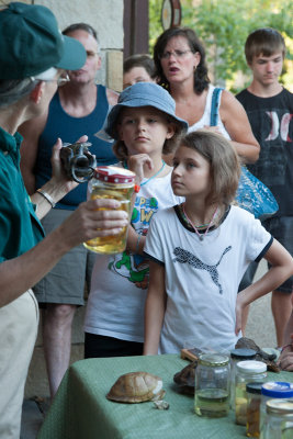 nature school