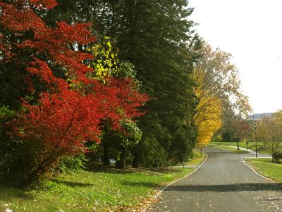 Red, Green, Yellow