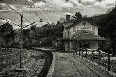 _MG_7319.jpg