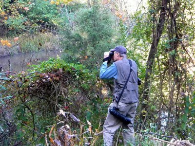 Checking out the beaver pond