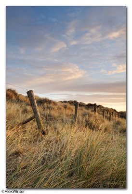 Sunrise amongst the dunes III