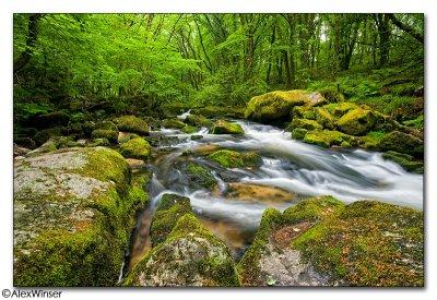 Golitha Falls