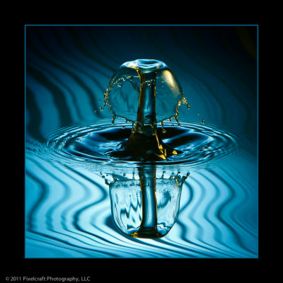 _MG_5366-Edit.jpg