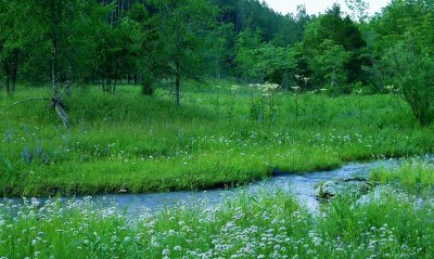 Habitats And Landscapes