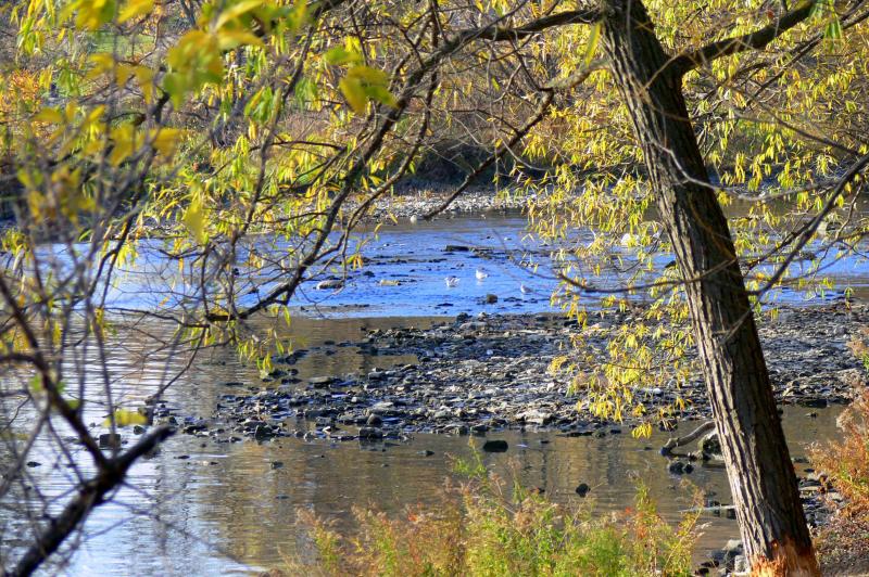 Fall in the park....