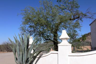 San Xavier Mission, Tucson AZ