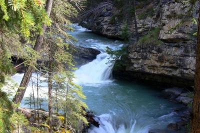 The crystal clear waters of Johnston Creek, Banff Nat. Park, Alberta