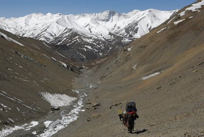 Day 11: Shey Gompa to Namgung