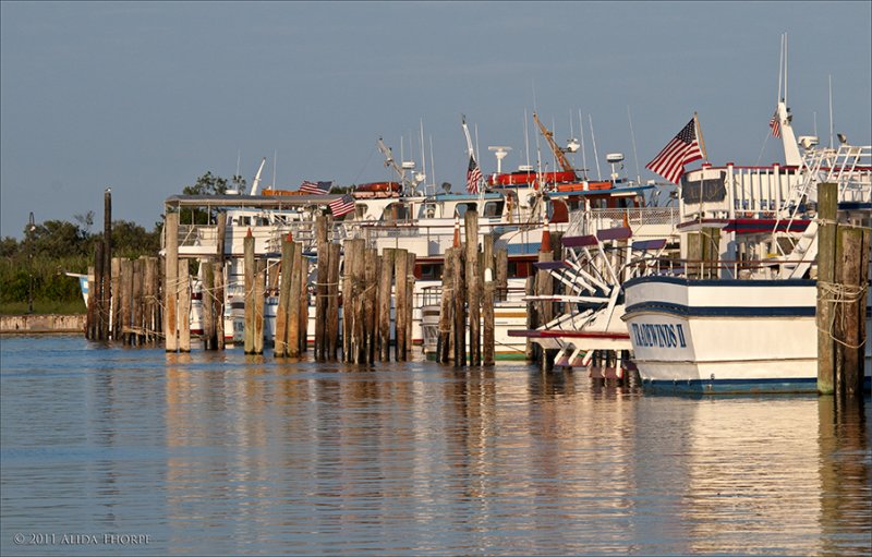 Captree Boat Basin