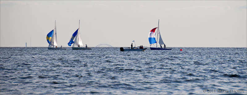 great south bay race