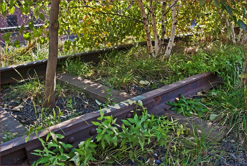 High Line tracks