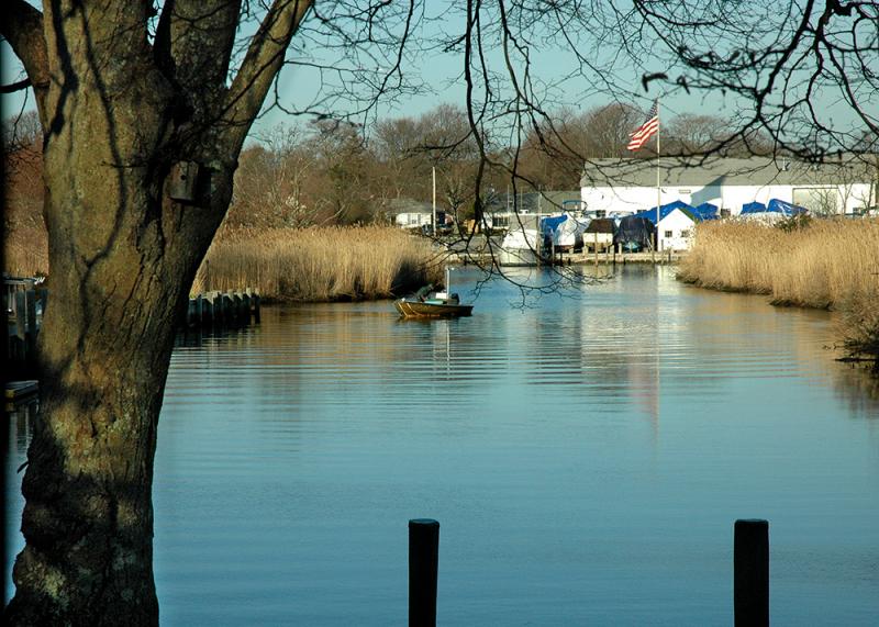 Setting Eel Traps