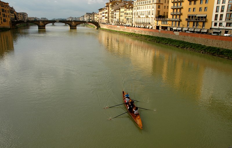 sculling on the arno river
