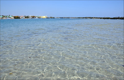 on the sandbar