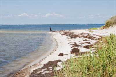 g4/65/575665/3/136837487.ojOAfISh.jpg