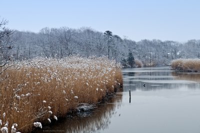 Browns River snow