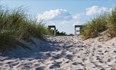 beach walk