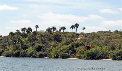 intracoastal views