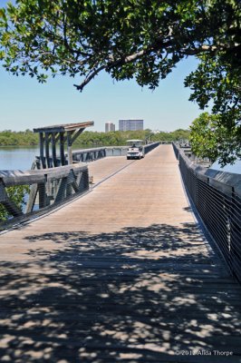 John D. MacArthur Beach State Park