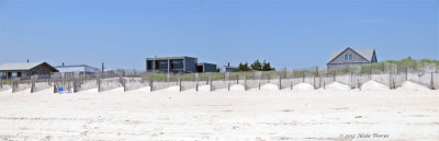 Fire Island 11.jpg