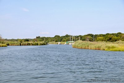 20120822_6966.jpg