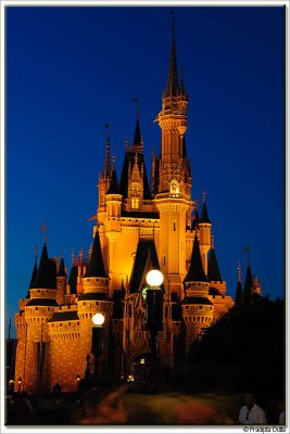 Cinderella's Castle