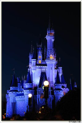 Cinderella's Castle