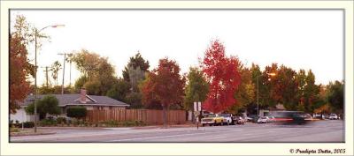 California's Fall Color :-)