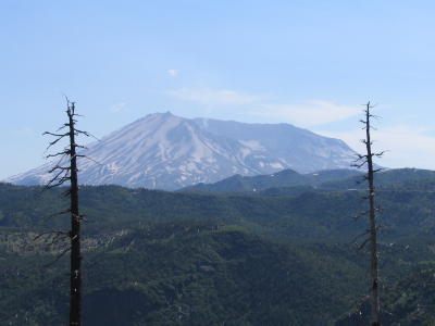 029 Mt St Helens from FSR 99 viewpoint.JPG