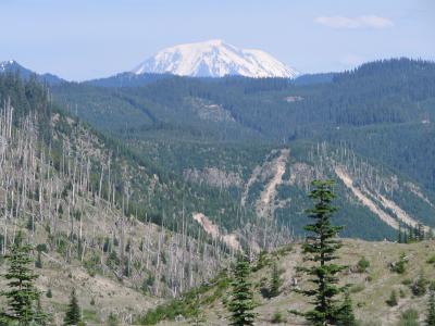031 Mt Adams.JPG
