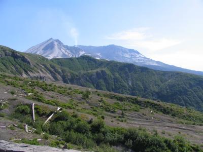 038 St Helens from Windy Ridge.JPG