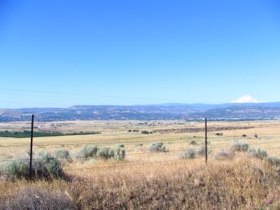 062 Mt Hood from Hwy 14.JPG
