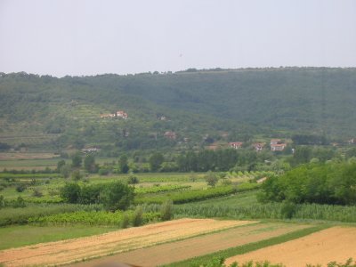 114-Croatian Field