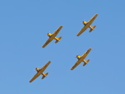 Canadian Harvard Aerobatic Team