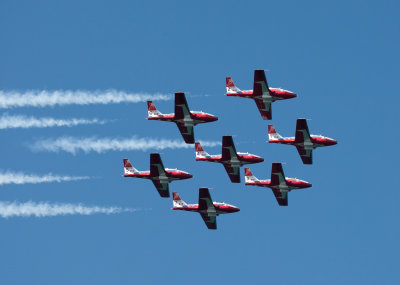 Snowbirds