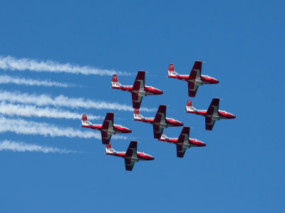 Snowbirds