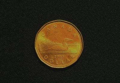 Canadian $1 Coin