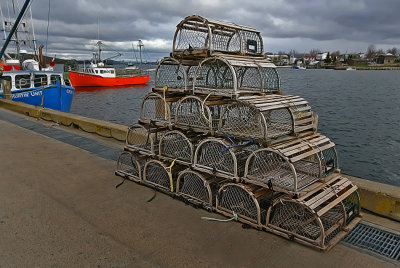 Lobster Traps