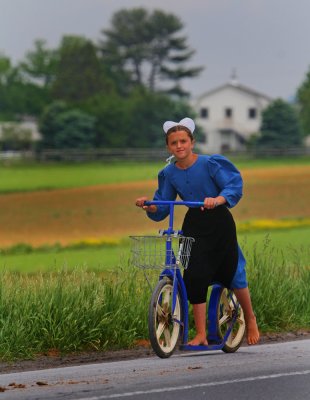 Amish girl on scooter52001.jpg