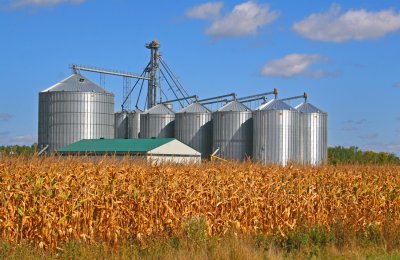 Grain silos1.jpg